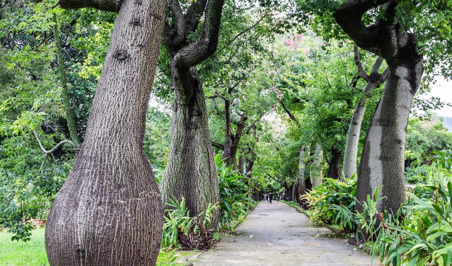 Orto Botanico di Palermo, Italy